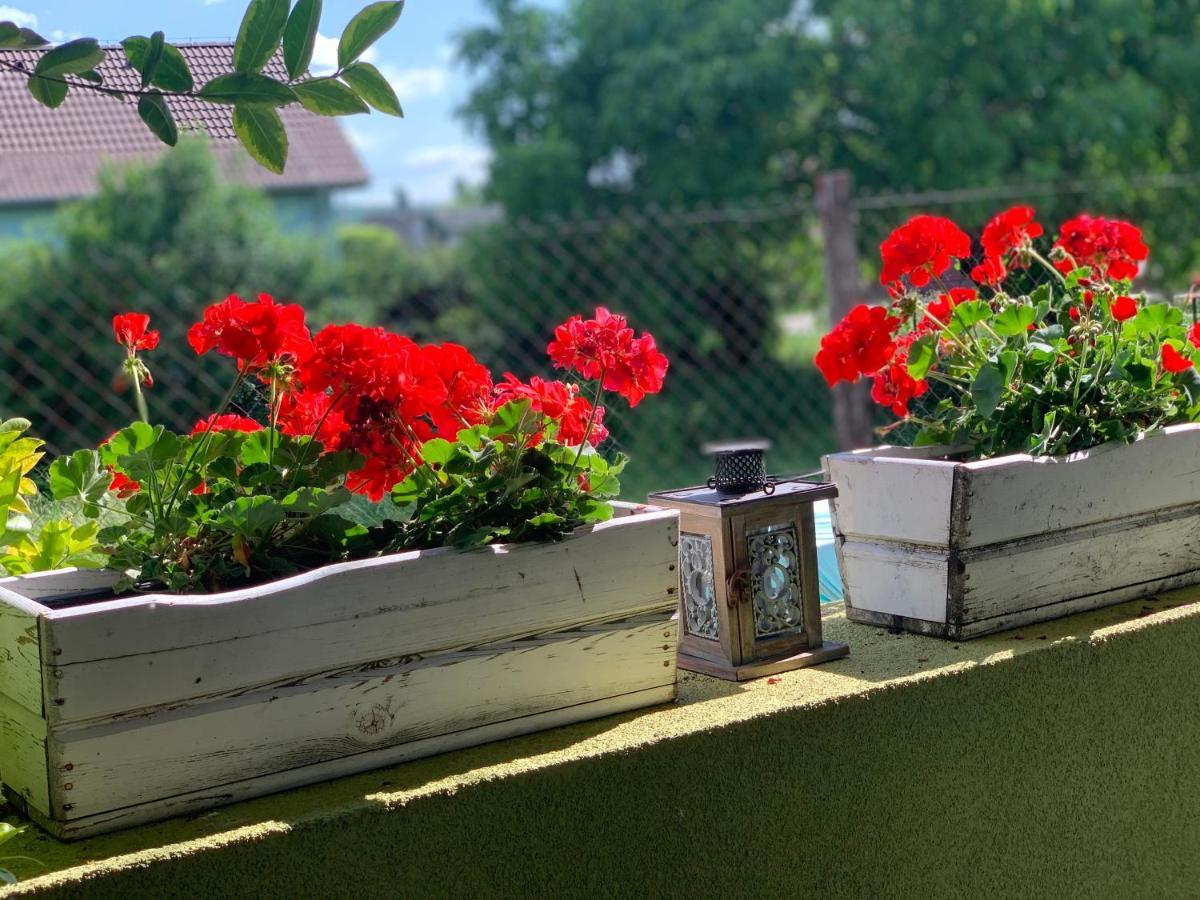 Apartmány ZELENÝ DOM Bellegszencse Kültér fotó